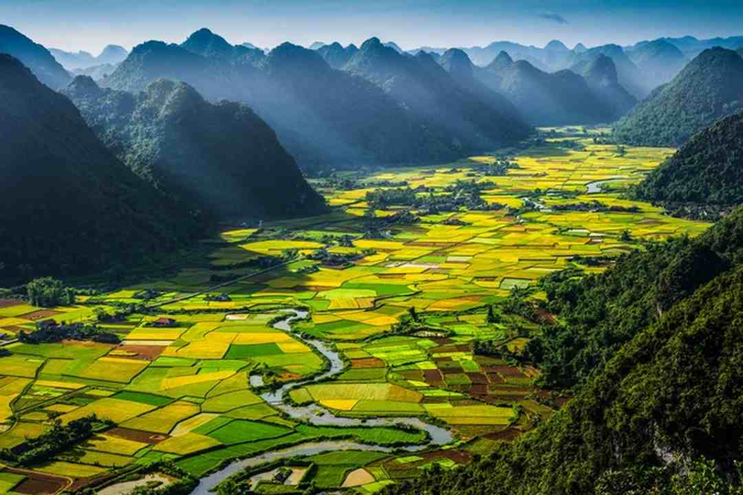 Đất nước Việt Nam thuộc kiểu khí hậu nào?