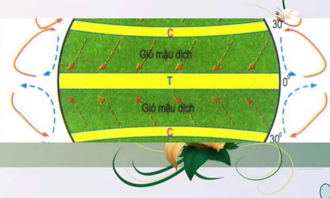 Gió mậu dịch có những tính chất nào?